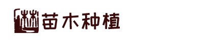 凯发集团App